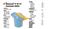 ROTOR DISTRIBUIDOR DENSO LUV