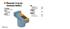 ROTOR DISTRIBUIDOR MARELLI C/RESISTOR ENC/ELECTRONICO 505 R-21 REGATTA