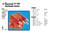 TAPA DISTRIBUIDOR BOSCH 106 205 405