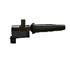 BOBINA ENCENDIDO FOCUS 2.0 DURATEC